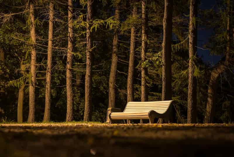 夜の公園のベンチ