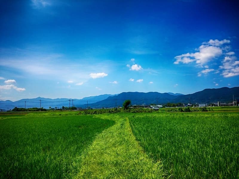 日本の田舎の風景